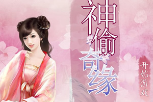 神偷奇缘