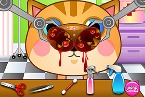 小猫看鼻子