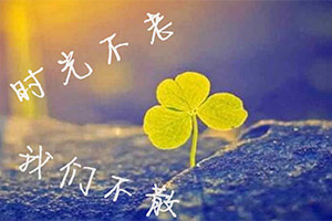 时光不老，我们不散