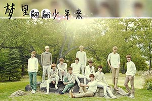 梦里翩翩少年来