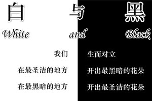 白与黑