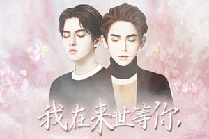 我在来世等你