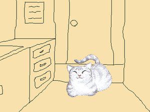 大肥猫房间1