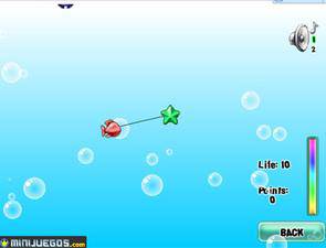 水族石头 