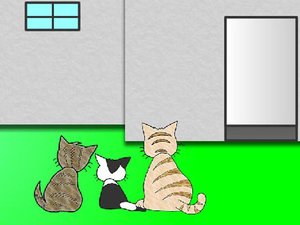 小猫逃实验室