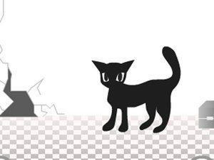 黑猫逃出浴室