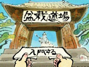盆景道场