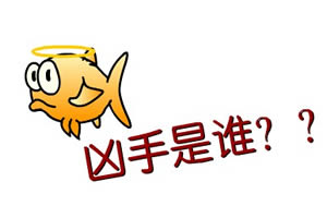 极度追凶令