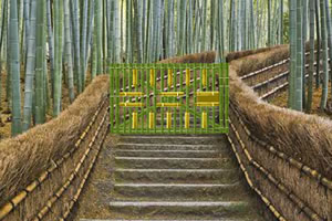 竹林逃生