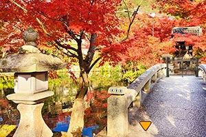 逃出日本公园