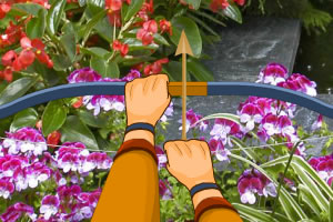 花丛里的瓢虫