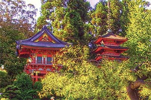 寻找小矮人