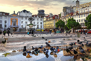 凌乱街道找东西