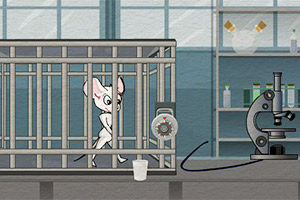 实验室老鼠逃生选关版
