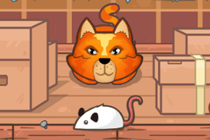 猫抓耗子