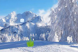 驯鹿逃离雪山
