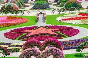公园花展逃脱