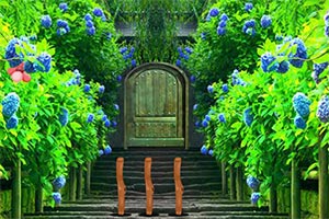 奇幻公园逃脱