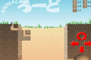 甲虫寻路回家