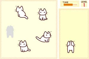 猫猫配对