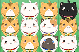 猫咪降落消除