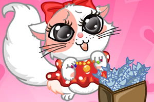 打扮可爱小猫