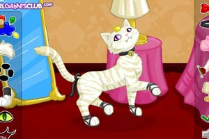 打扮猫咪